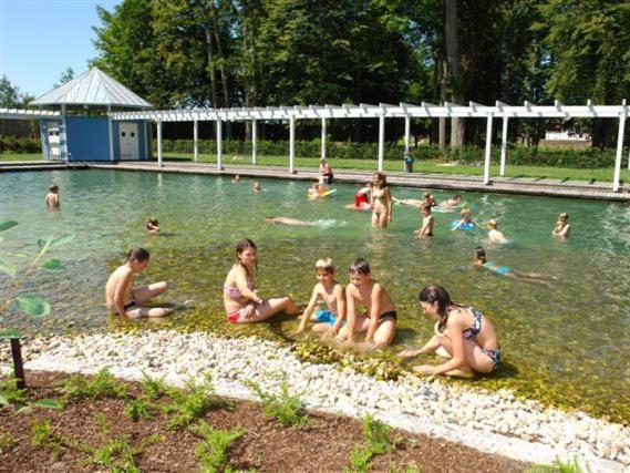 Ferienhaus Chalet Blockhaus Bayern Stamsried エクステリア 写真